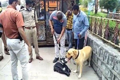 Vikas Dubey Killed: महाकाल मंदिर से बरामद काला बैग खोलेगा कई राज, मददगारों तक पहुंच सकती है पुलिस Vikas Dubey Killed: महाकाल मंदिर से बरामद काला बैग खोलेगा कई राज, मददगारों तक पहुंच सकती है पुलिस