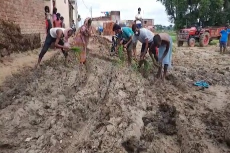 बिहार: आजादी के 73 साल बाद भी इस गांव में नहीं बनी सड़क, लोगों ने रास्ते पर रोपा धान, देखें फोटो