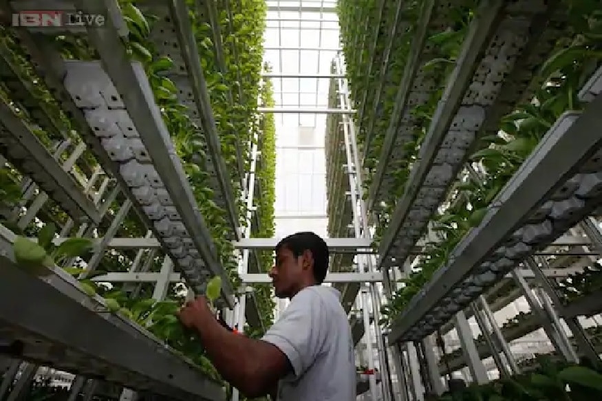 Vertical Farming