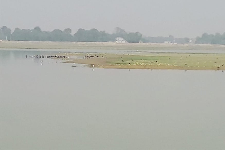 kalanamak rice, Buddha Rice, agricultural scientist ramchet chaudhary, kisan news, GI tag, Gorakhpur, Siddharth Nagar news, FAO, Ministry of agriculture, काला नमक चावल, बुद्ध राइस, कृषि वैज्ञानिक रामचेत चौधरी, किसान समाचार, जीआई टैग, गोरखपुर, सिद्धार्थ नगर समाचार, संयुक्त राष्ट्र, खाद्य और कृषि संगठन, कृषि मंत्रालय