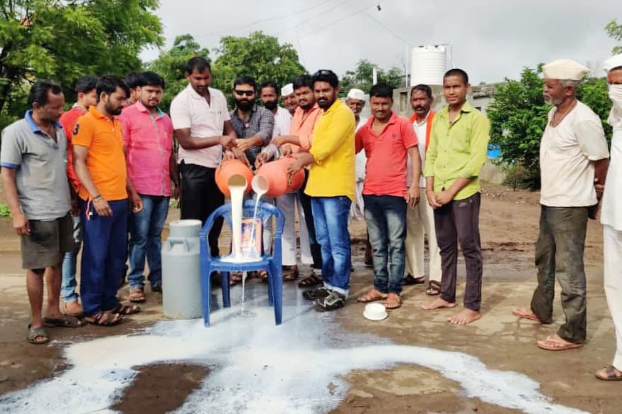 Cow milk rate in maharashtra, protest against low rate of milk, water price in india, milk rate less than water, dairy farms, milk production in india, Cow Politics, महाराष्ट्र में गाय के दूध की कीमत, महाराष्ट्र डेयरी, दूध के कम दाम के खिलाफ प्रदर्शन, भारत में पानी की कीमत, पानी से कम दूध की कीमत, डेयरी किसान, भारत में दूध का उत्पादन, गाय के नाम राजनीति