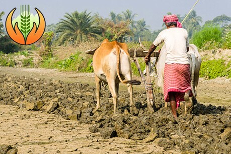 प्रधानमंत्री फसल बीमा योजना: किसान या कंपनी कौन फायदे में, सरकार ने दी जानकारी प्रधानमंत्री फसल बीमा योजना: किसान या कंपनी कौन फायदे में, सरकार ने दी जानकारी