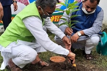 उत्तराखंड में पर्यावरण संरक्षण का अभियान बन गया है हरेला... आमजन से मुख्यमंत्री तक ने किया पौधरोपण