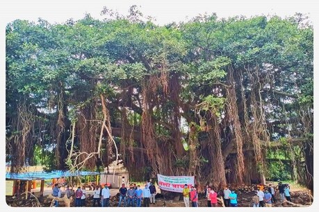 400 साल पुराने पेड़ को बचाने के लिए लोगों ने छेड़ी मुहिम तो नितिन गडकरी ने बदला हाईवे का नक्शा 400 साल पुराने पेड़ को बचाने के लिए लोगों ने छेड़ी मुहिम तो नितिन गडकरी ने बदला हाईवे का नक्शा