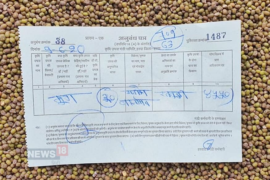 msp of moong, actual rate of green gram in mp, modi government, madhya pradesh, Commission for Agricultural Costs and Prices, production cost of moong dal, mandi rate in mp, farmers news, मूंग का न्यूनतम समर्थन मूल्य, मध्य प्रदेश में मूंग का वास्तविक दाम, मोदी सरकार, कृषि लागत और मूल्य आयोग, मूंग दाल पैदा करने की लागत, मंडी भाव, किसान समाचार