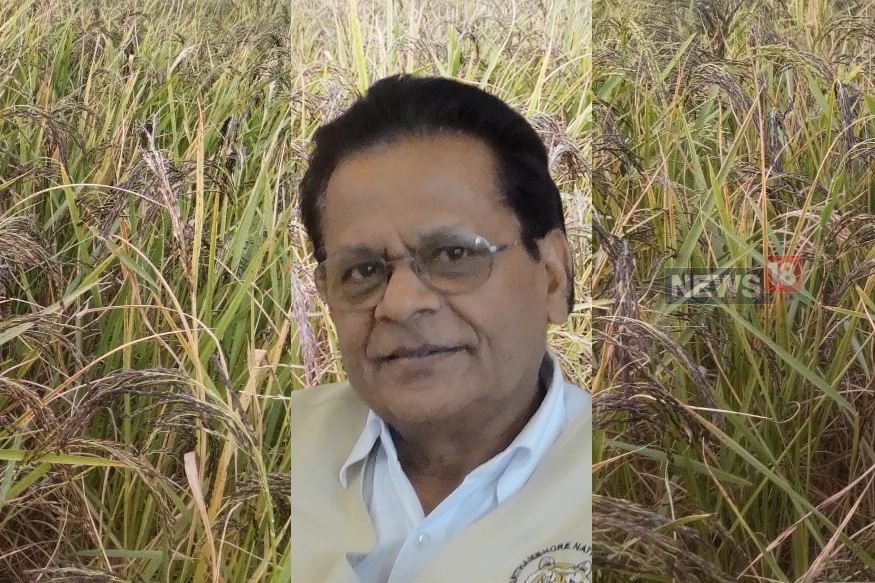 kalanamak rice, Buddha Rice, agricultural scientist ramchet chaudhary, kisan news, GI tag, Gorakhpur, Siddharth Nagar news, FAO, Ministry of agriculture, काला नमक चावल, बुद्ध राइस, कृषि वैज्ञानिक रामचेत चौधरी, किसान समाचार, जीआई टैग, गोरखपुर, सिद्धार्थ नगर समाचार, संयुक्त राष्ट्र, खाद्य और कृषि संगठन, कृषि मंत्रालय