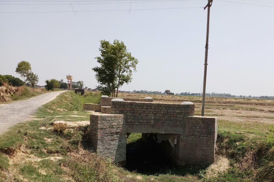 kalanamak rice, Buddha Rice, agricultural scientist ramchet chaudhary, kisan news, GI tag, Gorakhpur, Siddharth Nagar news, FAO, Ministry of agriculture, काला नमक चावल, बुद्ध राइस, कृषि वैज्ञानिक रामचेत चौधरी, किसान समाचार, जीआई टैग, गोरखपुर, सिद्धार्थ नगर समाचार, संयुक्त राष्ट्र, खाद्य और कृषि संगठन, कृषि मंत्रालय