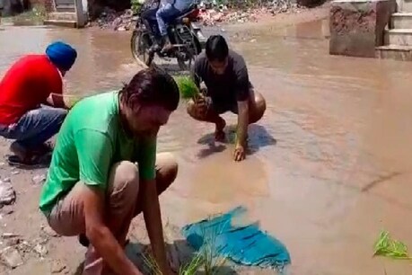 सड़क पर धान की रोपाई कर लोगों ने सरकार के खिलाफ किया विरोध-प्रदर्शन, 20 साल से बदहाल है व्यवस्था सड़क पर धान की रोपाई कर लोगों ने सरकार के खिलाफ किया विरोध-प्रदर्शन, 20 साल से बदहाल है व्यवस्था