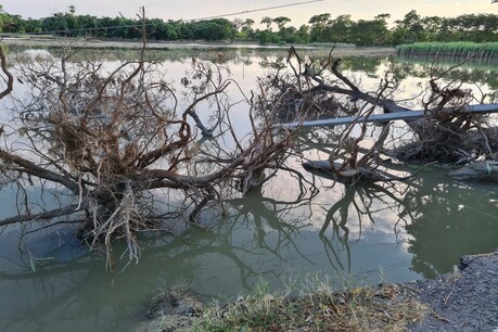 बिहार: बाढ़ का पानी उतरते ही गोपालगंज में दिख रहा तबाही मंजर, विस्थापित हो गए एक लाख परिवार