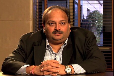 'बैड बॉय बिलिनियर्स' की प्री स्क्रीनिंग देखना चाहता था मेहुल चोकसी, दिल्ली HC ने खारिज की याचिका 'बैड बॉय बिलिनियर्स' की प्री स्क्रीनिंग देखना चाहता था मेहुल चोकसी, दिल्ली HC ने खारिज की याचिका