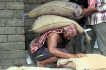 PHOTOS: मंडी में कोरोना ने लाखों रुपये कमाने वाले गोलू पहलवान को बना दिया कुली