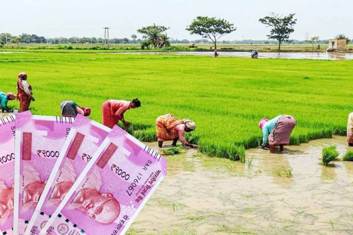 PM-किसान स्कीम: 20 दिन में 30 लाख किसानों के अकाउंट में पहुंचे 2000-2000 रुपये
