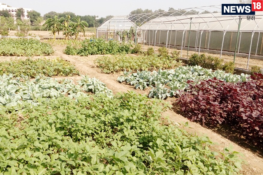 new education policy 2020, agriculture education policy, farmers news, icar scientist, modi government, ram chet chaudhary, Rashtriya Kisan Mahasangh, नई शिक्षा नीति, कृषि शिक्षा नीति, किसान समाचार, भारतीय कृषि अनुसंधान परिषद के वैज्ञानिक, मोदी सरकार, राम चेत चौधरी, राष्ट्रीय किसान महासंघ