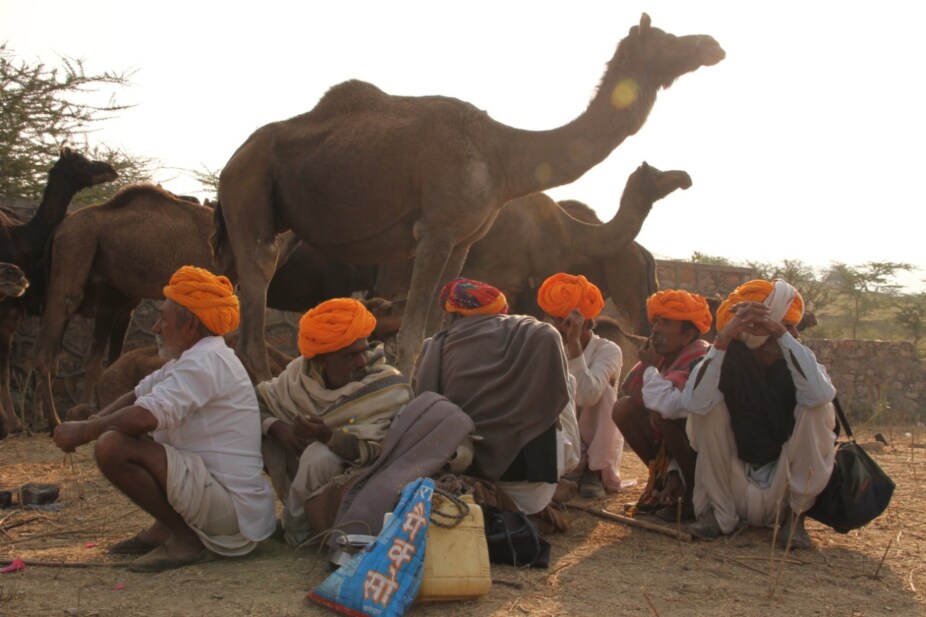 rajasthan news, ajmer news, rajasthan tradition, Khwaja Moinuddin Chishti Dargah, Mayo college, ajmer ki tabeej, अजमेर न्यूज, अजमेर की फोटो, अजमेर के देखने लायक स्थल, मोइनुद्दीन चिश्ती की दरगाह, जैन मंदिर, पुष्कर झील, फायसागर झील