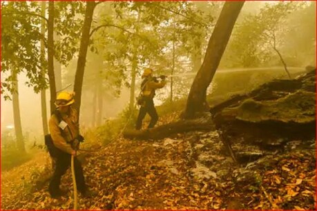 कैलिफॉर्निया के जंगलों में 12 हजार बार गिरी बिजली, 500 से ज्यादा जगहों पर लगी आग कैलिफॉर्निया के जंगलों में 12 हजार बार गिरी बिजली, 500 से ज्यादा जगहों पर लगी आग