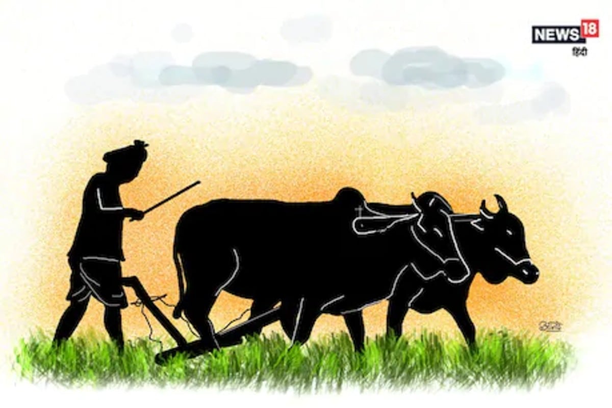 Cartoon Indian Farmers. Traditional Rural Farmer of Farms Village India,  Agricultural Gardering Ploughing Field Stock Vector - Illustration of  background, happy: 253678531