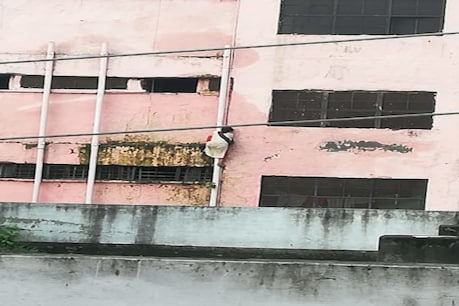 यूपी में महिला मरीज का फिल्मी स्टंट, 40 फीट उंचे फाइप से फिसली और भाग निकली