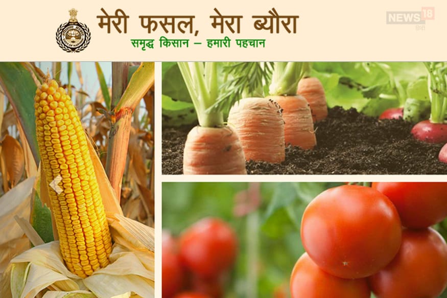 Meri Fasal Mera Byora Portal, farmers schemes and subsidies, kisan news in hindi, Aadhaar Card, haryana government yojana, मेरी फसल-मेरा ब्यौरा पोर्टल, किसानों की योजनाएं और सब्सिडी, किसान समाचार, आधार कार्ड, हरियाणा सरकार की योजनाएं