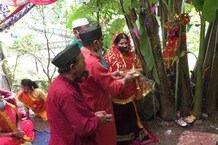 नंदा महोत्सवः खुर्पाताल में केले के पेड़ पर लिया मां जगदंबा ने अवतार... मूर्ति बनाने के लिए लाया गया नैनीताल