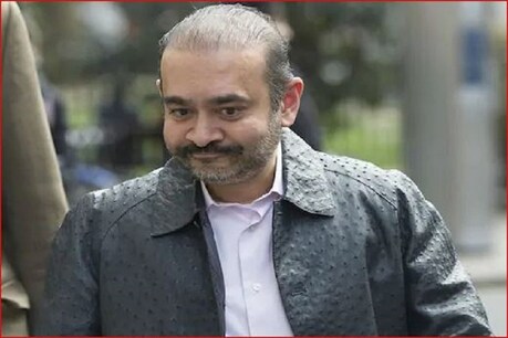 नीरव मोदी के खिलाफ भारत में चल सकता है राजनीति से प्रेरित मुकदमा: वकील नीरव मोदी के खिलाफ भारत में चल सकता है राजनीति से प्रेरित मुकदमा: वकील