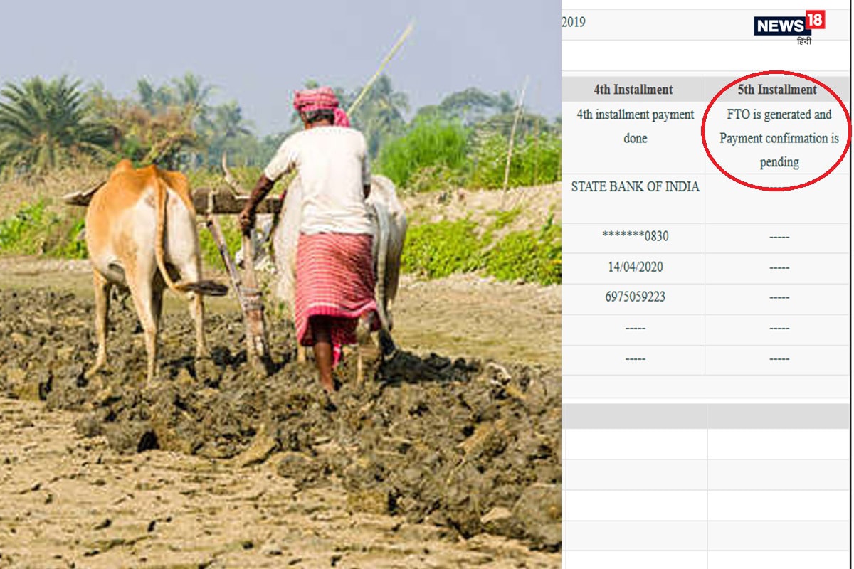Modi government sent message to 8 cr 55 lakh farmers after transfer of 2000-2000 rupees-pm kisan samman nidhi scheme-dlop