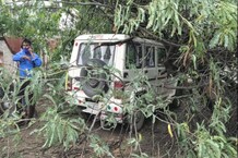 उदयपुर में ट्रैफिक पुलिस बना रही थी चालान, अचानक गिर पड़ा पेड़, देखें हादसे के PHOTOS