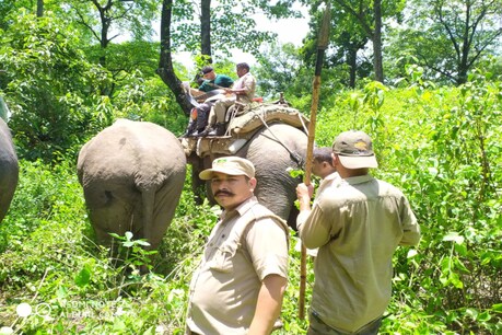 10 'बिगड़ैल' हाथियों को लगाया जाएगा रेडियो कॉलर, हरिद्वार कुंभ 2021 से पहले बड़ा फैसला