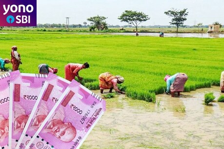 किसान के लिए खुशखबरी! SBI के 'योनो ऐप' से जुड़ा बीज पोर्टल, अब ऐप के जरिए खरीद सकेंगे बीज किसान के लिए खुशखबरी! SBI के 'योनो ऐप' से जुड़ा बीज पोर्टल, अब ऐप के जरिए खरीद सकेंगे बीज