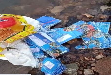बैतूल : अनंत चतुर्दशी पर नदी में बहते मिले पीएम जनधन योजना के हज़ारों ATM कार्ड बैतूल : अनंत चतुर्दशी पर नदी में बहते मिले पीएम जनधन योजना के हज़ारों ATM कार्ड