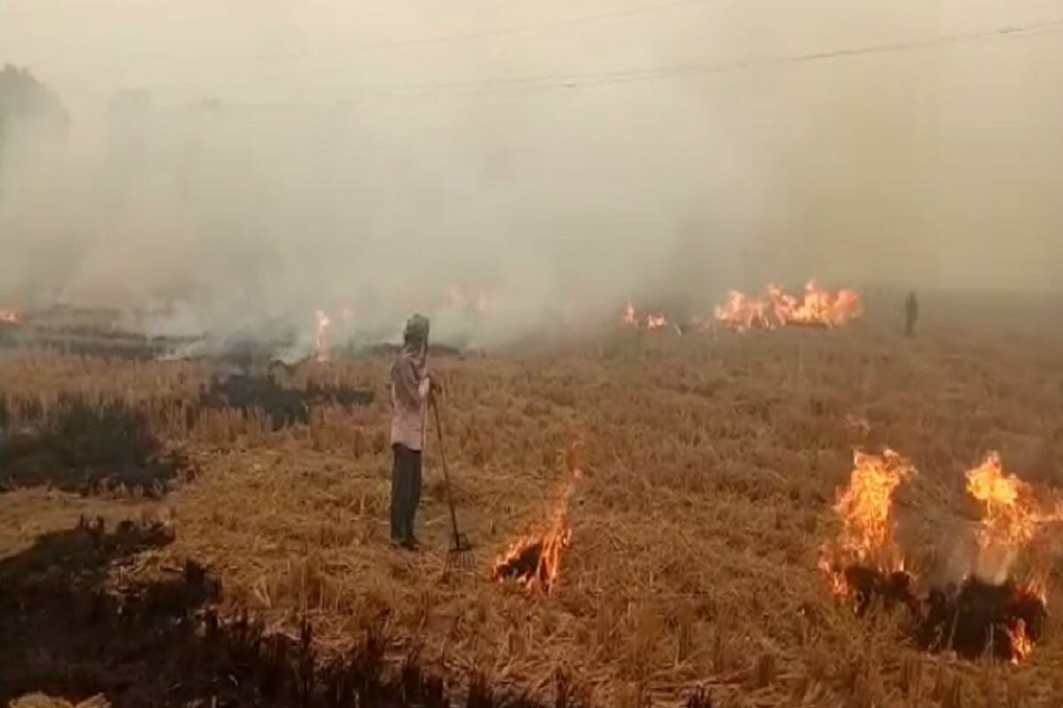 Stubble burn haryana punjab