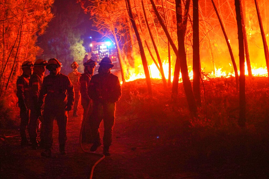  कैलिफ़ोर्निया में स्थित ओरोविले में भी आग पहुंच गई है. बिडवेल बार ब्रिज के पीछे एक पहाड़ी के ऊपर यह आग देखने को मिली है. कैलिफोर्निया विश्वविद्यालय एवं लॉस एंजिल्स के जलवायु वैज्ञानिक डैनियल स्वैन का कहना है कि जंगल में लगी इस मौसम की सबसे बड़ी दुर्घटना है. इसने एक नया रिकॉर्ड बनाया है.