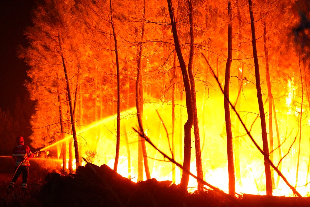  कैलिफोर्निया के उत्तर में एंजिल्स नेशनल फॉरेस्ट बुरी तरह आग के लपटों से जल रहा है. रिपोर्ट के मुताबिक, दिसंबर तक यह आग जारी रहेगी. जंगलों में लगी आग से सिर्फ कैलिफोर्निया ही प्रभावित नहीं है. पड़ोसी ओरेगन और वाशिंगटन प्रांत में भी खासा नुकसान हुआ है. ओरेगन के गवर्नर केट ब्राउन ने बताया कि पिछले तीन दिनों के दौरान आग नौ लाख एकड़ जमीन को अपनी जद में ले चुकी है. अब तक पांच लाख लोगों को घर छोड़ने पर मजबूर होना पड़ा है. यह प्रांत की कुल 42 लाख की आबादी के 10 फीसद से ज्यादा है.