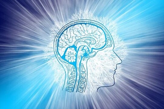 शोधकर्ताओं ने उस प्रक्रिया (Process) को समझ लिया है जिससे दिमाग (Brain) यादों को लंबे समय तक रख पाता है. (तस्वीर: Pixabay)