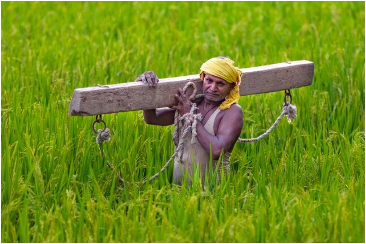 India, China, Agriculture Reforms