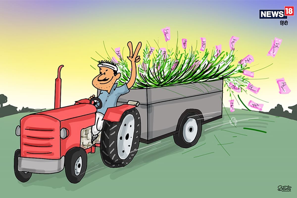agri act-2020, Haryana Government, Meri Fasal Mera Byora portal, paddy procurement for outside farmers, mandis of Haryana, MSP, नया कृषि कानून, हरियाणा सरकार, मेरी फसल मेरा ब्योरा पोर्टल, बाहरी किसानों से भी धान खरीद, हरियाणा की मंडियां, न्यूनतम समर्थन मूल्य