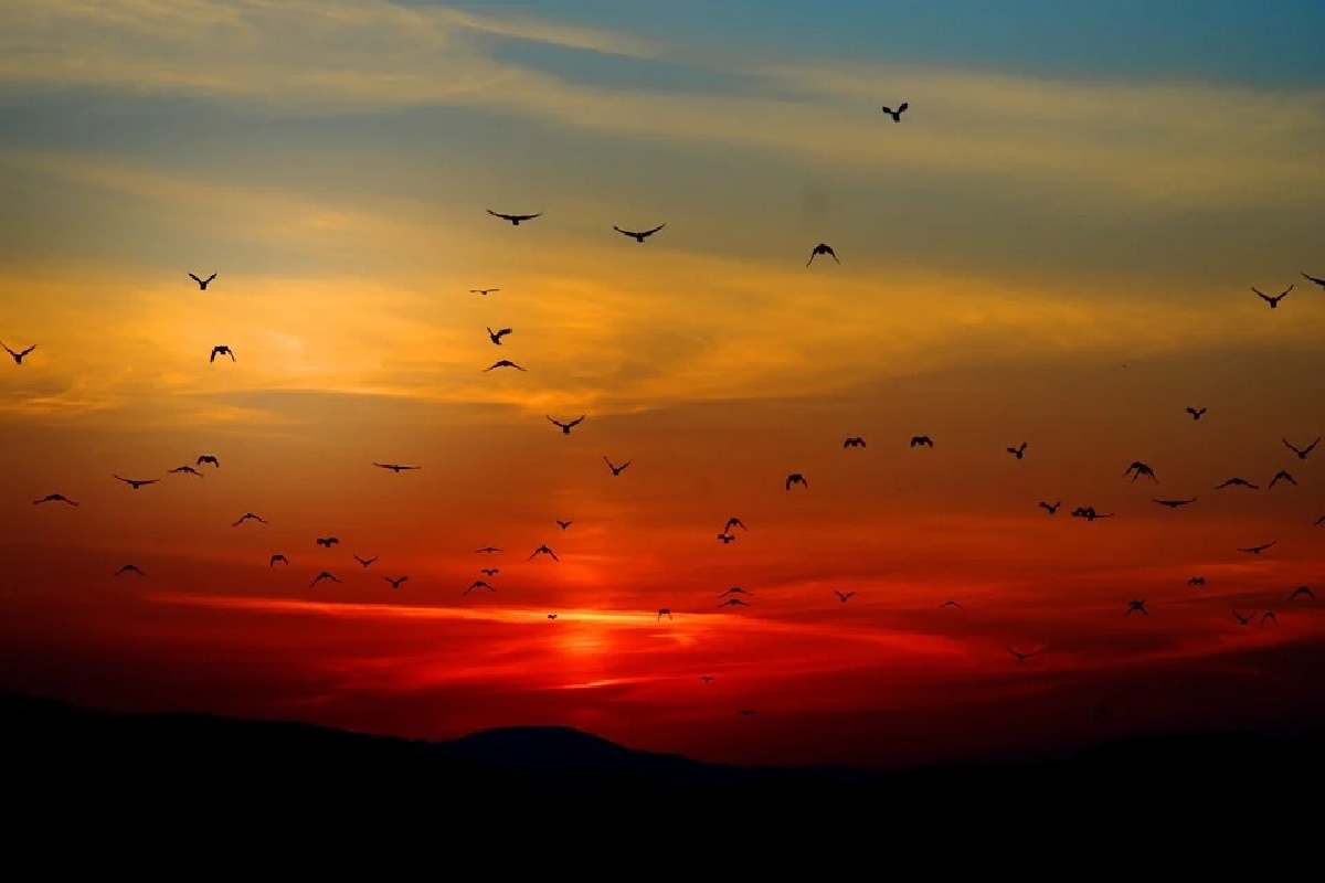 Sunset, Red, scattering of light,