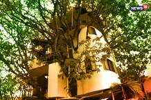 आपने कभी देखा है आम के पेड़ पर 4 मंजिला घर? लेकसिटी में बना है यह खास 'ट्री हाउस', देखें PHOTOS