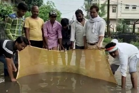 गोरखपुर में सड़क बनी तालाब, कांग्रेस कार्यकर्ताओं ने 'मछली' मारकर किया प्रदर्शन गोरखपुर में सड़क बनी तालाब, कांग्रेस कार्यकर्ताओं ने 'मछली' मारकर किया प्रदर्शन