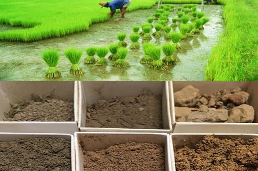 how to start Soil Testing Lab, business ideas in village areas, soil testing services, agriculture ministry, modi government farmers scheme, मृदा परीक्षण प्रयोगशाला कैसे शुरू करें, गांवों के लिए बिजनेस आईडिया, स्वायल टेस्टिंग लैब का काम, कृषि मंत्रालय, मोदी सरकार की किसान योजनाएं