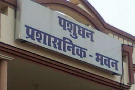 यूपी में पशुधन फर्जीवाड़ा मामले में रोज नए-नए खुलासे हो रहे हें