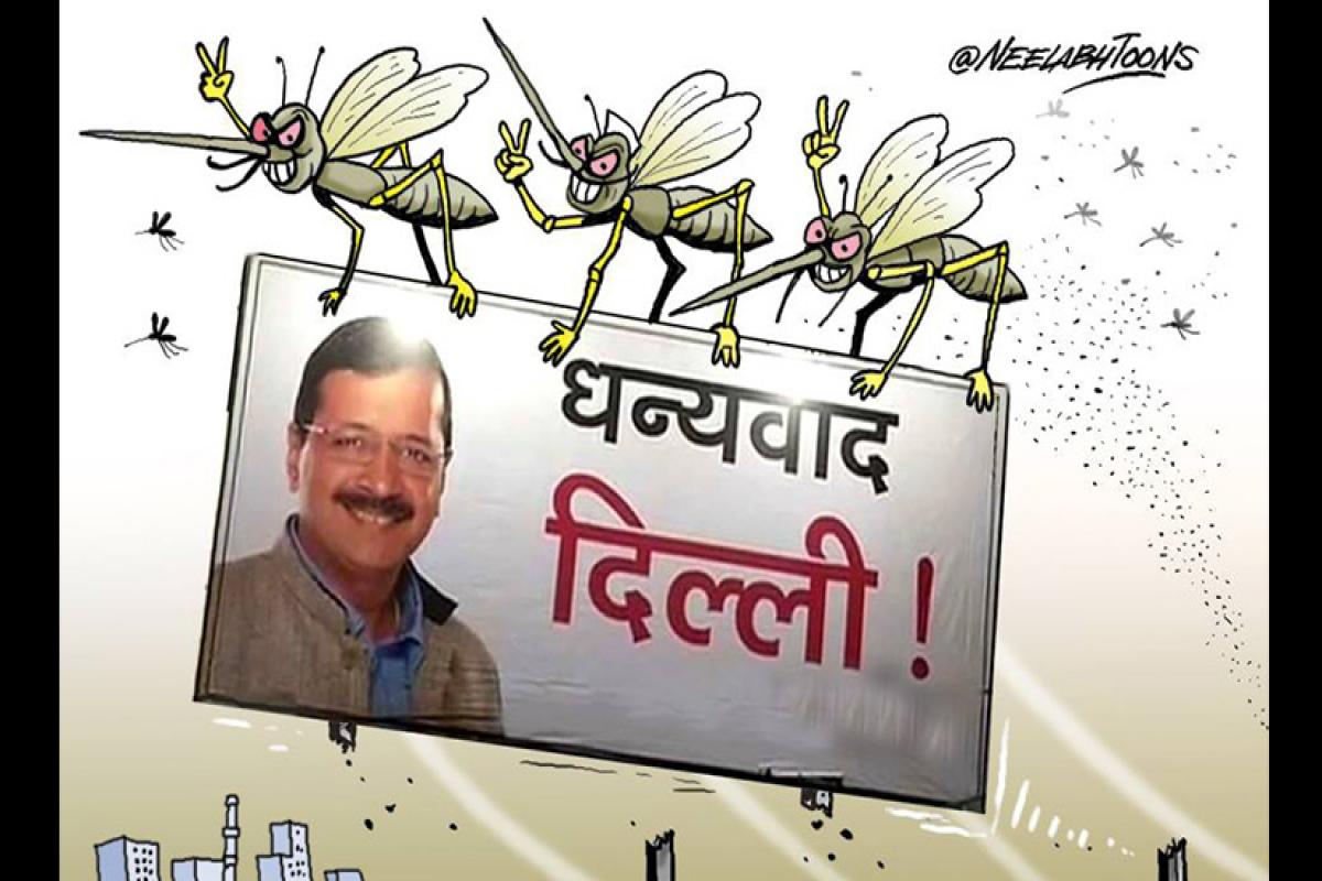 Dengue, Delhi government, Arvind Kejriwal, Dengu campaign, kejriwal government, dengue news updates in delhi, chikungunya, delhi news, डेंगू हेल्पलाइन नंबर, 01123300012, WhatsApp नंबर 8595920530, डेंगू न्यूज, दिल्ली सरकार, अरविंद केजरीवाल, अभियान, शुरुआत, 10 हफ्ते, 10 बजे, 10 मिनट, हर रविवार, डेंगू- चिकनगुनिया को लेकर अभियान की शुरुआत, 2015 डेंगू के 15867 मामले आए थे और करीब 60 लोगों की मौत हुई थी.