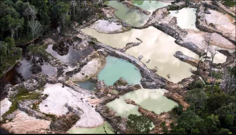 Blood Gold, What is Blood Gold, appeal to India on Blood Gold, Yanomami Blood Gold,brazil blood gold, ब्लड गोल्ड, ब्लड गोल्ड क्या है, ब्राजील का सोना, ब्राजीली सोना आयात, ब्राजील भारत व्यापार
