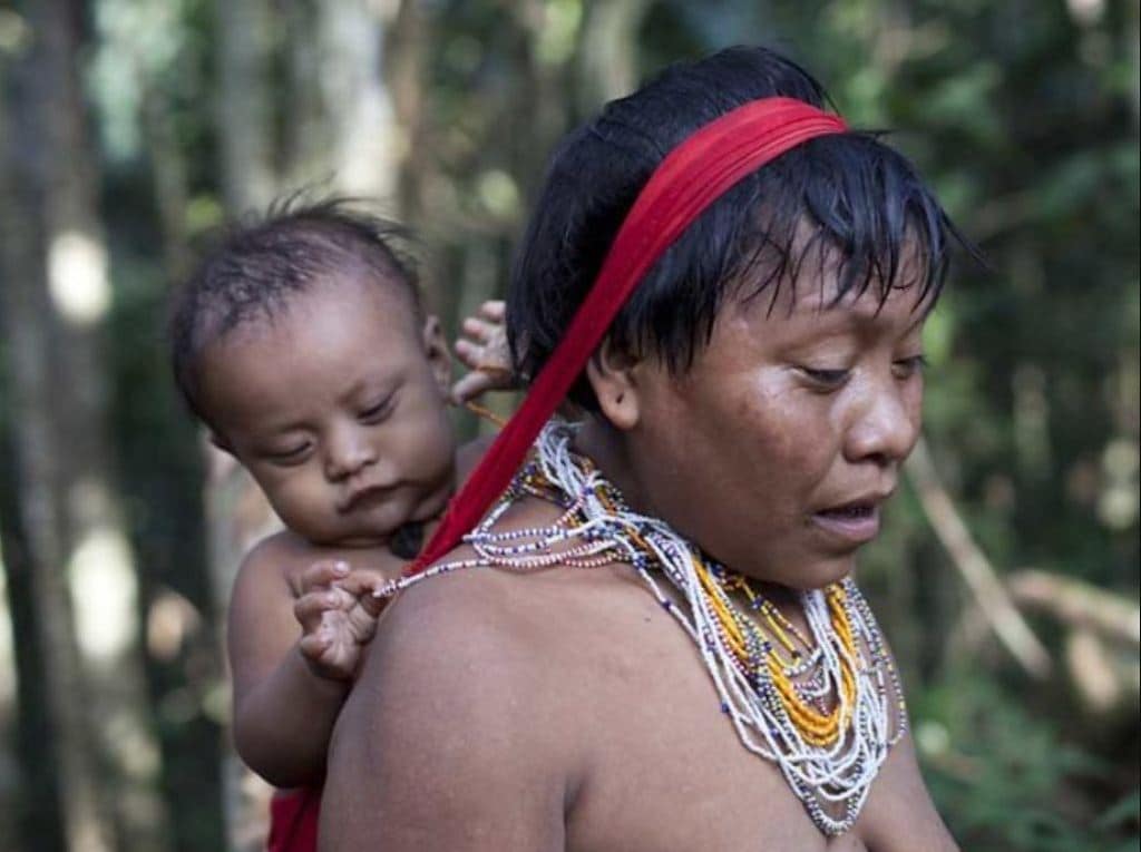 Blood Gold, What is Blood Gold, appeal to India on Blood Gold, Yanomami Blood Gold,brazil blood gold, ब्लड गोल्ड, ब्लड गोल्ड क्या है, ब्राजील का सोना, ब्राजीली सोना आयात, ब्राजील भारत व्यापार