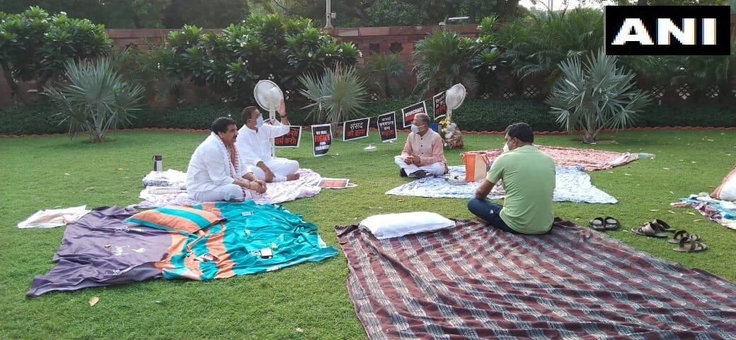 Photos: धरना दे रहे सांसदों से उपसभापति हरिवंश ने की चाय पर चर्चा, कांग्रेस सांसद  ने कहा- जारी रहेगा हमारा धरना | nation - News in Hindi - हिंदी न्यूज़ ...