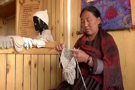लद्दाख का पशमीना बना फ्रांस और यूरोप का पसंदीदा उत्पाद (फाइल फोटो)