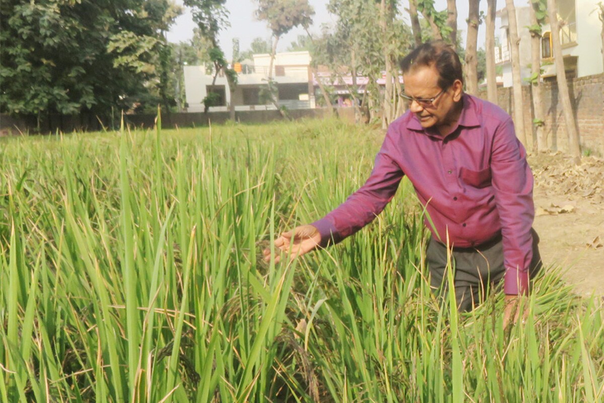 success story of contract farming, agriculture bill protest, farmers income, kisan andolan, modi government, अनुबंध खेती की सफलता की कहानी, कृषि बिल का विरोध, किसानों की आय, किसान आंदोलन, मोदी सरकार