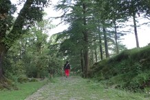 खतरे में है नैनीताल का यह रमणीक पर्यटन स्थल... टिफ़िन टॉप में पर्यटकों के लिए मूलभूत सुविधाएं तक नहीं