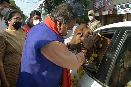 bjp नेता कैलाश विजयवर्गीय ने गौ मूत्र भी पीया