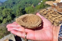 PHOTOS: Made in China नहीं, इस बार स्वदेशी: दीवाली पर गोबर के दीयो से रोशन होगा शिमला