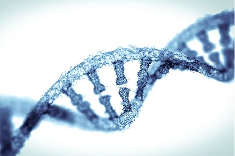 जीन संपादन तकनीक (Gene Editing) CRISPR के लिए नोबेल पुरस्कार (Nobel Prize) मिलने से इसके उपयोग की सीमाओं पर बहस होने लगी है. (प्रतीकात्मक तस्वीर)